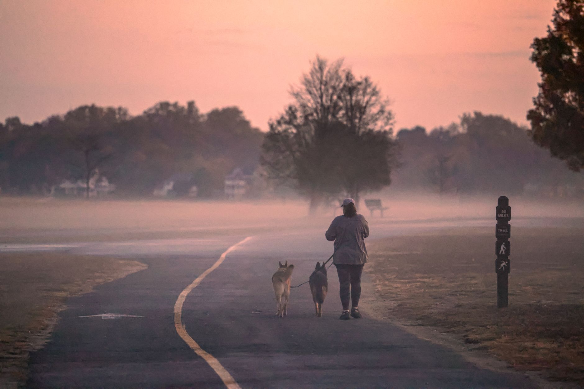 朝もやのかかった公園の道を、犬を連れて歩いている人の後ろ姿。
