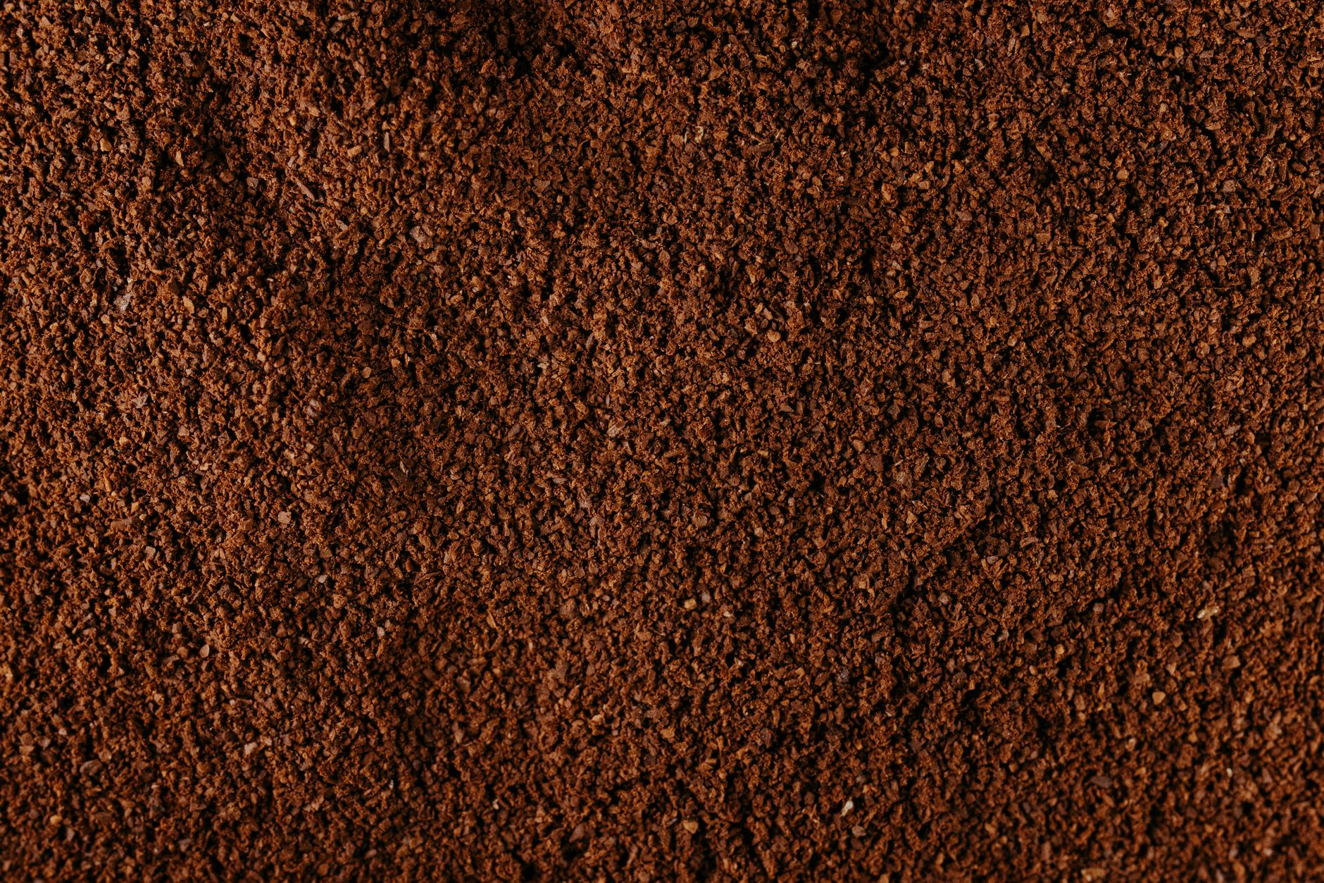 挽いたあとのコーヒーの粉を大きく写した接写。粒の細かさが見て取れる。